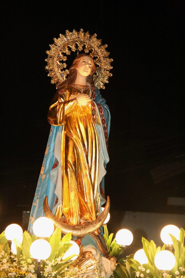 Grand Diocesan Procession (9)